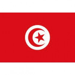 Länderflagge Tunesien